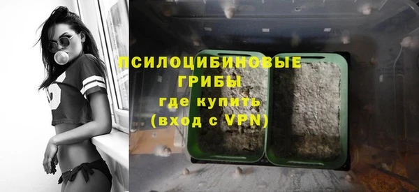 ALPHA PVP Няндома