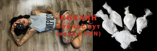 тгк Абаза
