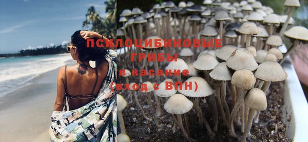 тгк Абаза